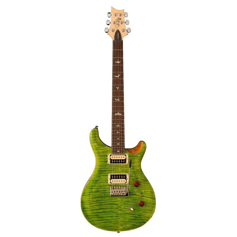 PRS - GUITAR SE Custom 24-08 Eriza Green