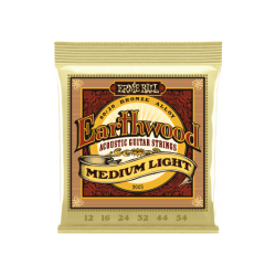 Earthwood 80/20 Bronze Medium-Ligth - Ernie Ball