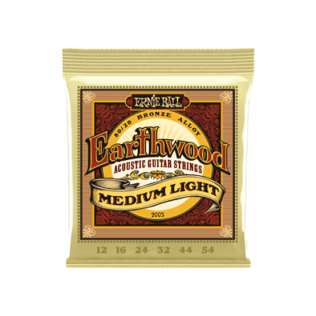 Earthwood 80/20 Bronze Medium-Ligth - Ernie Ball