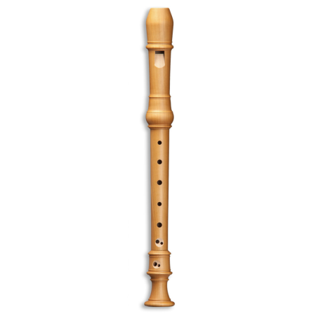 MOLLENHAUER DENNER 5107 FLUTE A BEC SOPRANO POIRIER
