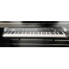 OCCASION - SV2 - KORG