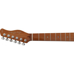 LARRY CARLTON T7 - SIRE