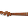 LARRY CARLTON T7 - SIRE