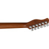 LARRY CARLTON T7 - SIRE