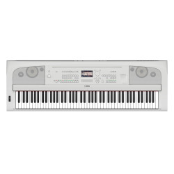 DGX-670WH