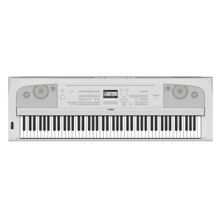 DGX-670WH