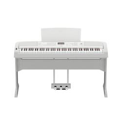 DGX-670WH