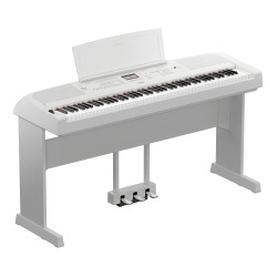 DGX-670WH
