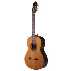 SOLOIST 500 - PRODIPE