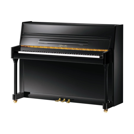 UP110R2 NOIR BRILLANT - RITMULLER