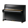 UP110R2 NOIR BRILLANT - RITMULLER
