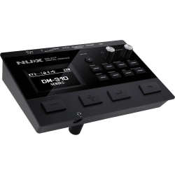 DM-310 - NUX