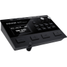 DM-310 - NUX