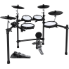 DM-310 - NUX