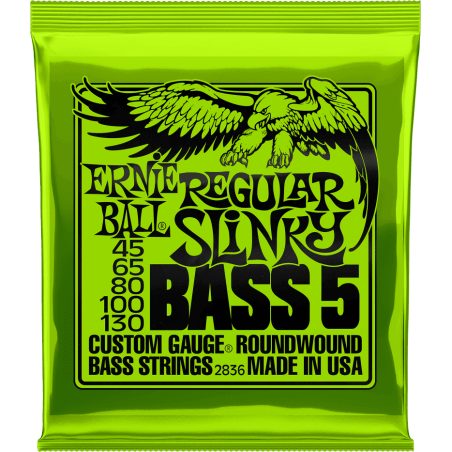 Regular slinky 5 cordes 45-130 - Ernie Ball