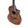 Celebrity Tradition CS-24P-NBM - Ovation