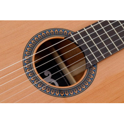 P1000 Classique - 4/4 - Table Cèdre Rouge + Gigbag - PLEYEL