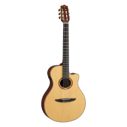NTX3 NATURAL - YAMAHA