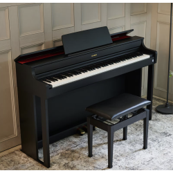 AP-300BK PIANO NUMERIQUE - CASIO