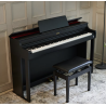 AP-300BK PIANO NUMERIQUE - CASIO
