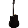 GEA RANGER6CW-EQ-NAT