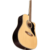 GEA RANGER6CW-EQ-NAT