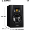 T5V - ADAM AUDIO
