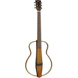 ONE-S150E-FOLK - EKO