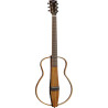 ONE-S150E-FOLK - EKO