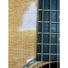 OCCASION - ESD-10E (avec étui Fender) - Fender