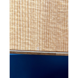 OCCASION - ESD-10E (avec étui Fender) - Fender