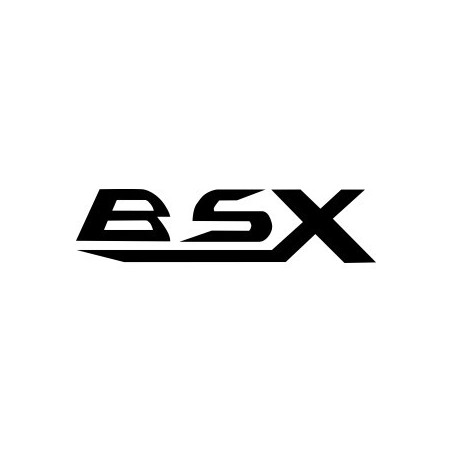 BSX