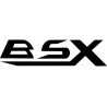 BSX